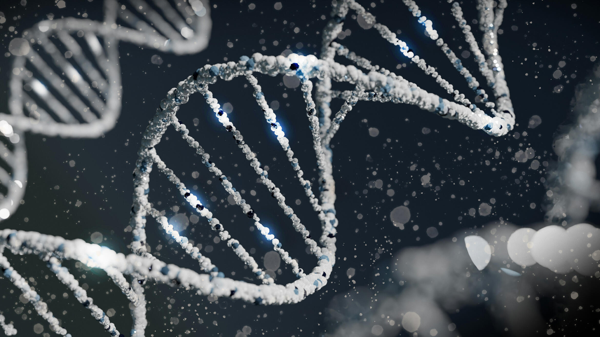 A digital depiction of a DNA helix, rendered in clear bright blue and grey tones.