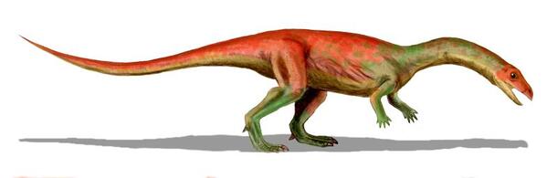 Color rendering of an Effigia okeefeae dinosaur, with a beak-like mouth and long neck.