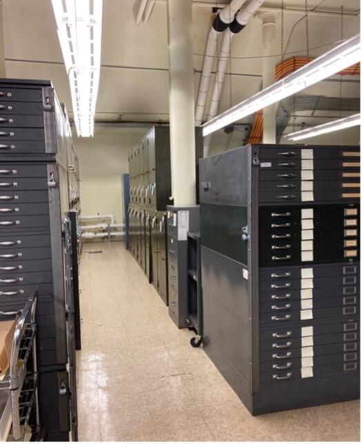 Cabinets in the Vertebrate Paleontology archive, 2022