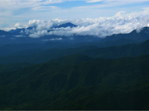 Forest-covered Guadalcanal mountains stretching into the distance with the peaks partially covered with clouds.
