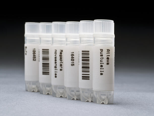Uniquely barcoded 1.8 milliliter cryo tubes