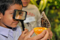 8908-Misael Barragon_DF