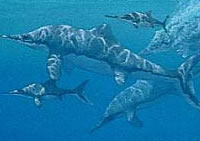 DougHenderson_ichthyosaur.jpg
