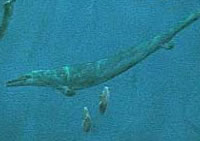 DougHenderson_mosasaur_cret.jpg