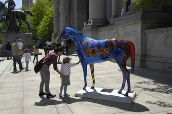 Horse Gallery 10