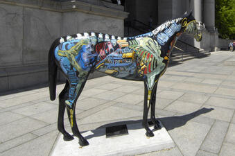 Horse Gallery 9