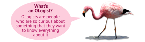 Flamingo with speech bubble "What's an OLogist? Ologists are people who are so curious about something that they want to know everything about it."