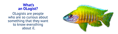 Text "What's an OLogist? Ologists are people who are so curious about something that they want to know everything about it." beside image of a fish.