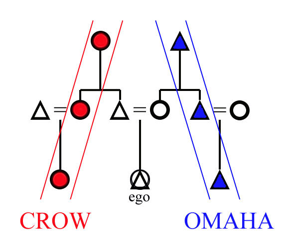 Crow-Omaha Kinship Systems