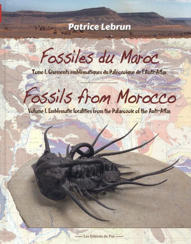 Fossils from Morocco cover image of book