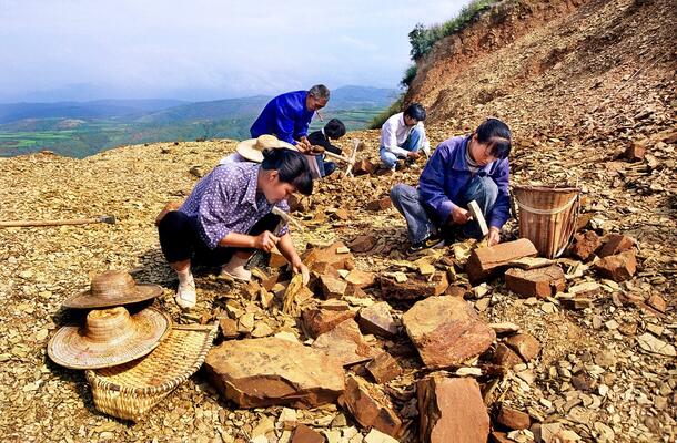 Photo of paleontologist Hou Xianguang and crew working at a dig site in China