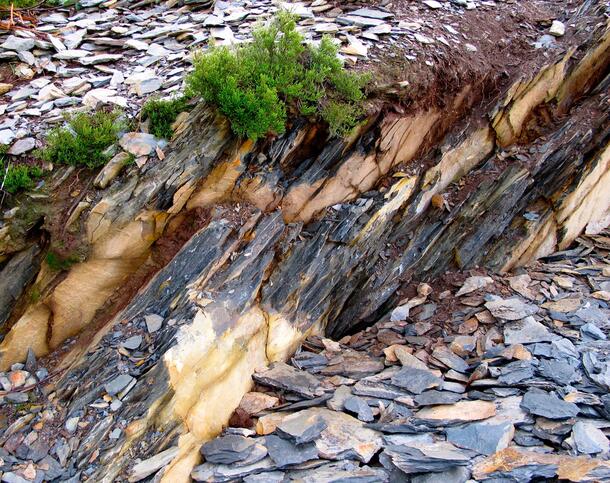 Layers of tilted slate or shale exposed at the surface, surrounded by broken-off rock pieces on the ground.