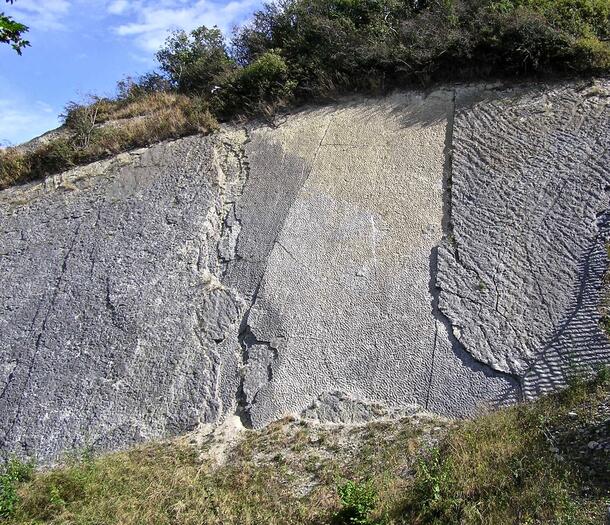 Fossilized ripple markings on Wren's Nest, a limestone mountain.