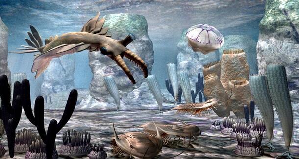 Cambrian Diorama image of ocean scene