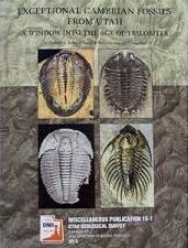 Exceptional Cambrian Fossils from Utah 2 image