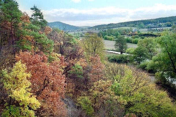Fall foliage on the Berounka River. Jince, Czech Republic.