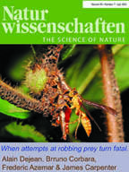 Cover photo from journal Nature Wissenschaften showing ants and wasp on branch