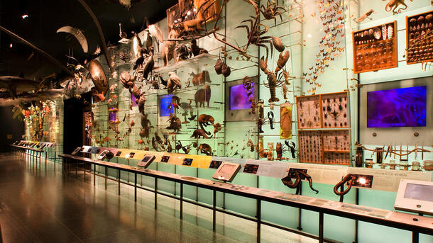 hall of biodiversity