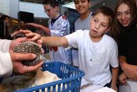 Hedgehog and kids from SI IS 75 DF_0901