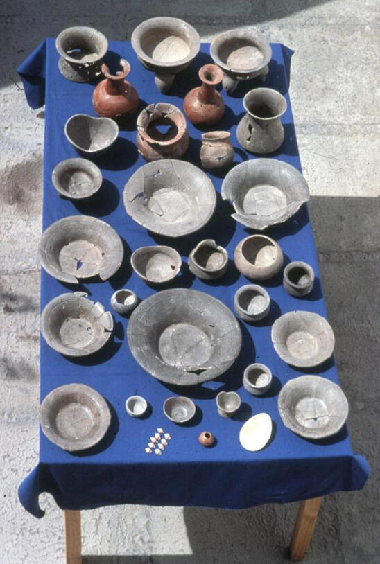 Approximately 30 ceramic plates and vessels on a large cloth-covered table. Most artifacts are broken or cracked and appear to have been cleaned and pieced back together.