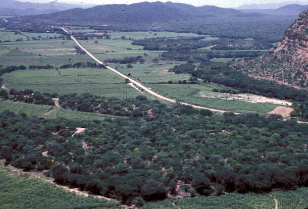 A wide aerial view of a flat green landscape with scrubby vegetation dissected by a road.
