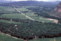 Sustainable Development in Latin America