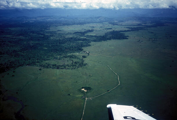 An aerial view of a wide green flat landscape.
