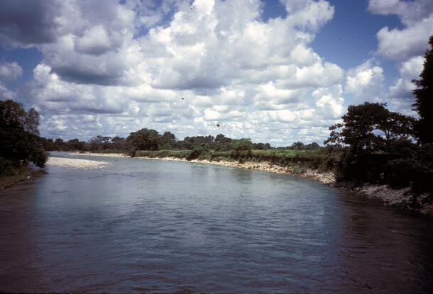 A flat smooth river beneath a blue sky with cumulus clouds, with low green bushes and trees along the banks.