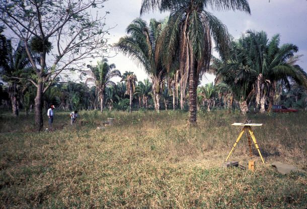 Two people standing in a grassy area with some tall trees. In the foreground is a tripod table with survey instruments.