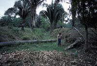 Western Venezuelan Llanos