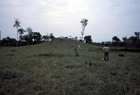 Western Venezuelan Llanos