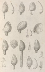 accuracy of ancient dating methods The possibility of contamination of very ancient by carbon dating methods can be compensated by using other accuracy of this dating technique is not. accuracy of ancient dating methods The possibility of contamination of very ancient by carbon dating methods can be compensated by using other accuracy of this dating technique is not.