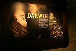 darwin_entrance.jpg