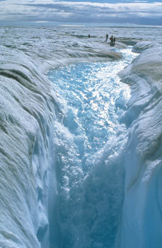 ice-intro_greenland_230.jpg