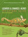 lizards_edguide