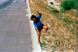 because-we-were-born_1