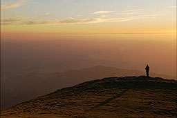 in-the-garden-of-sounds_1