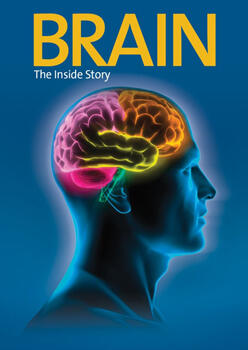 Marketing Brain for Preview