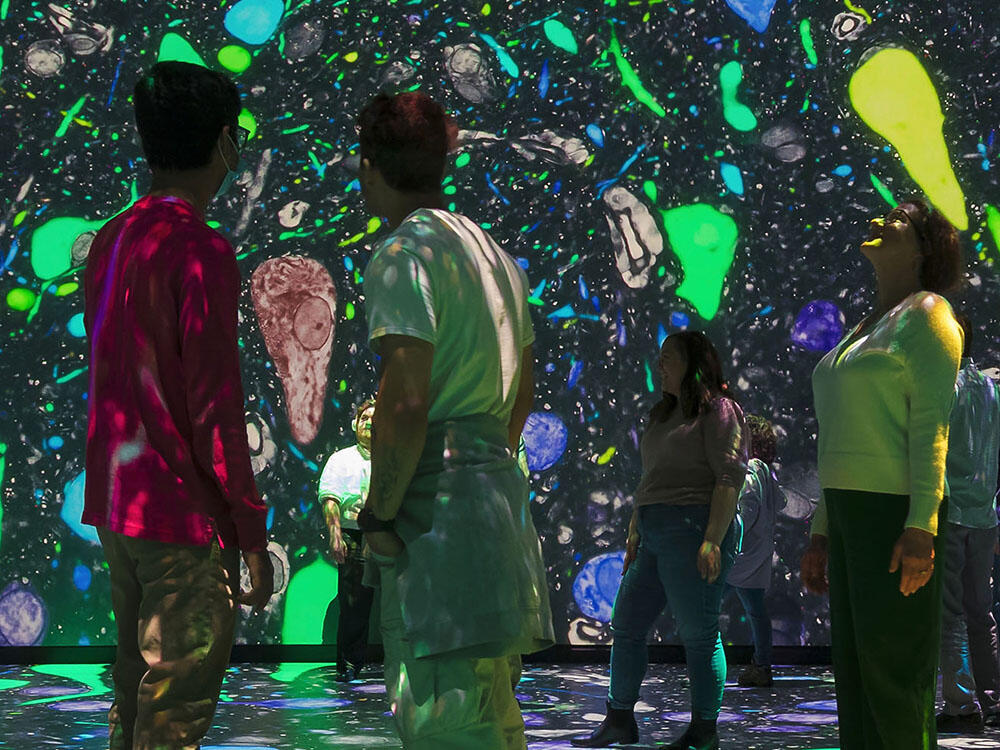 Museum visitors are surrounded by video projections as they stand inside the Invisible Worlds immersive theater.