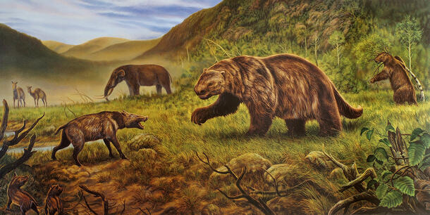 Reconstructed image of an American mastodon, the ground sloth, the flat-headed peccary, and the western camel in a hilly green scrubby setting 125,00 years ago.