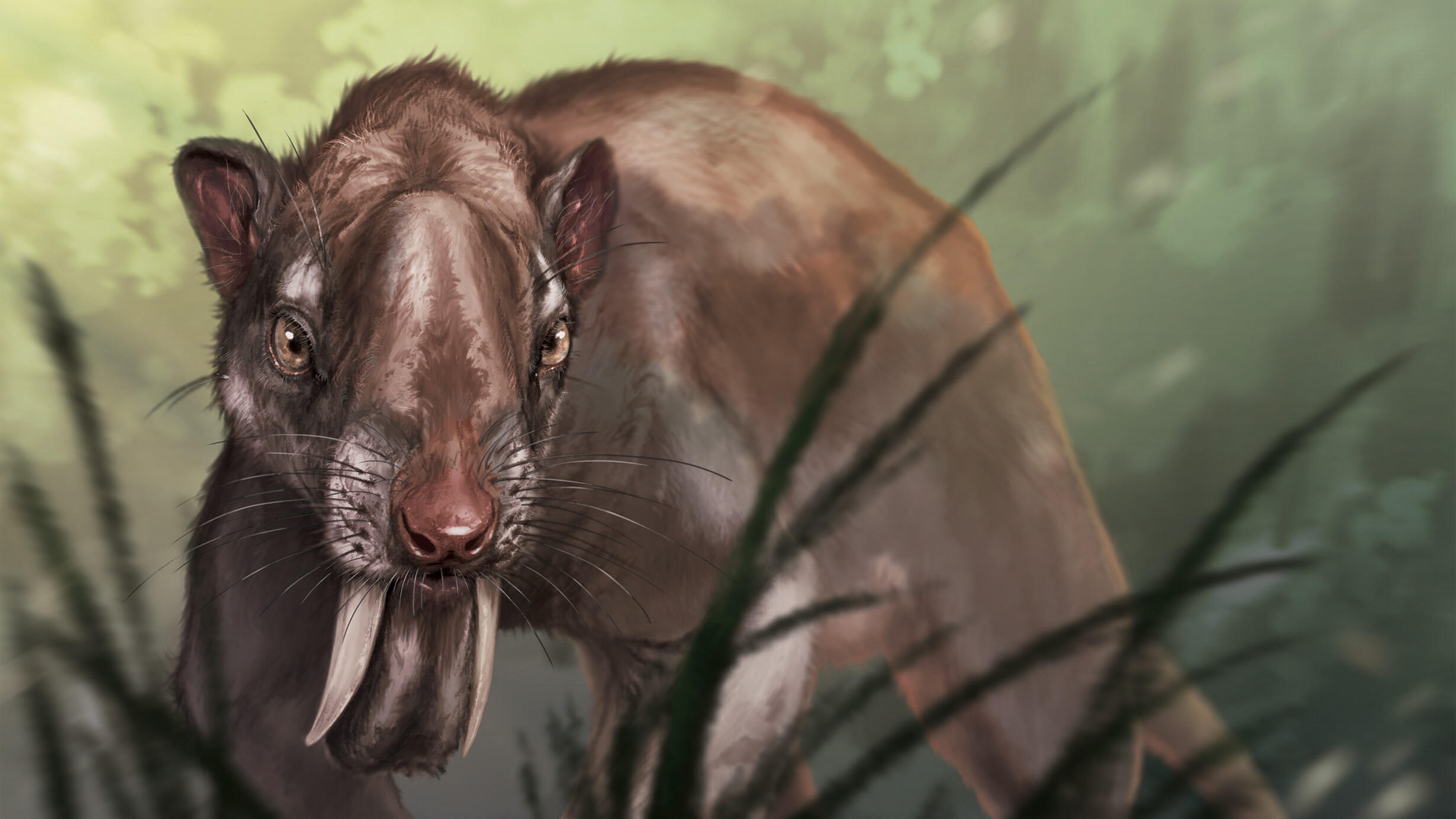 A visualization of the Thylacosmilus atrox, a marsupial sabertooth with two long, curved front teeth, standing among leaves.