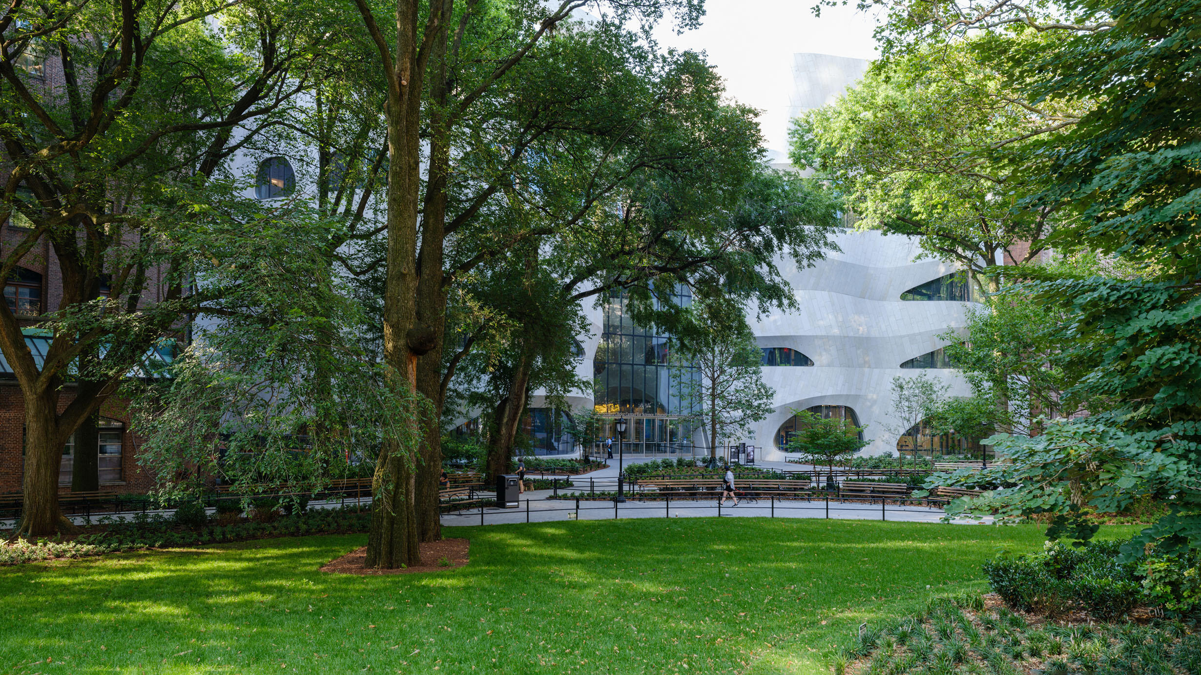 Park with tall trees and an open grassy area, with the Richard Gilder Center facade visible in background.