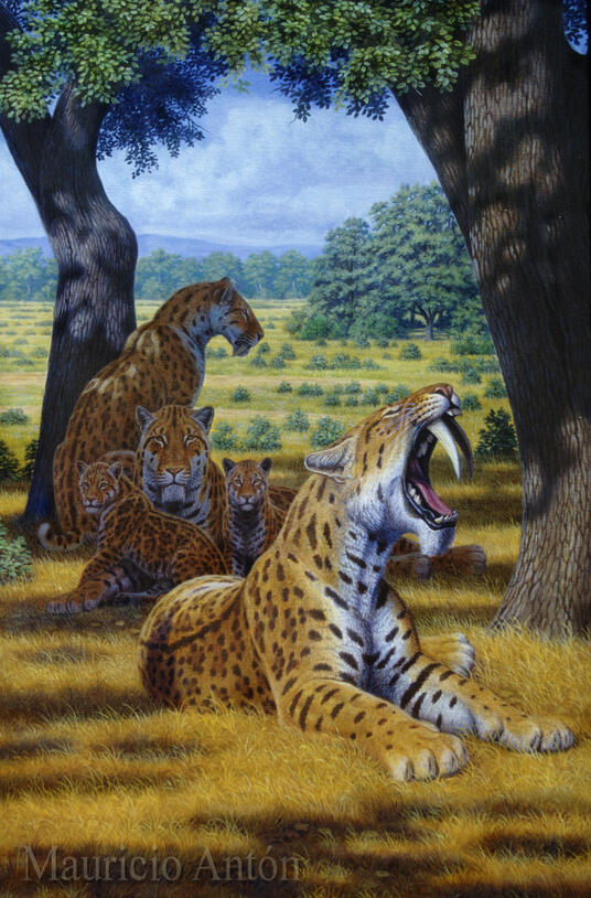 artwork of Smilodon fatalis family, showing its long canines