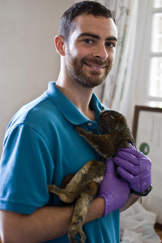 Museum postdoctoral fellow James Herrera wearing a polo shirt and plastic gloves holding an avahi lemur that has been collared for study.