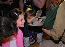 Baby Animal Encounter