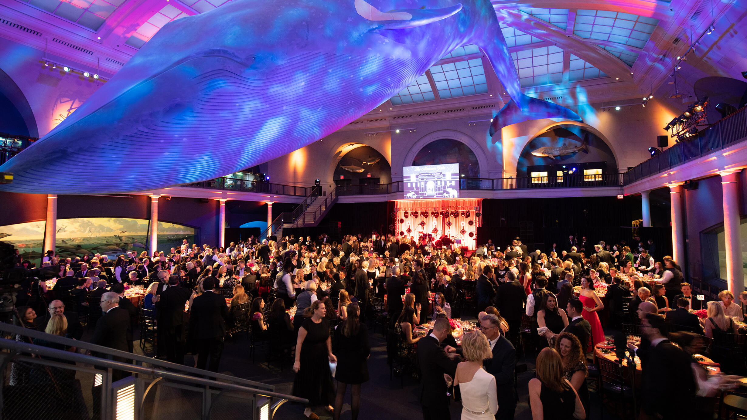 Attendees at the American Museum of Natural History's annual gala. Guests are dining at tables under the iconic blue whale model.