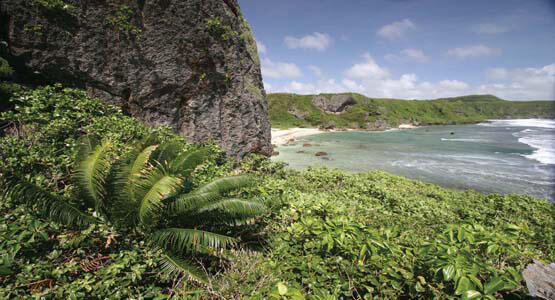 A beach ringed by low hills and lush green plants.