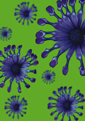 Images of several organisms with petal-like appendages extending from a center, shown purple against a green background.