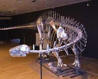 Behind the Scenes 23