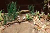 Behind the Scenes 26